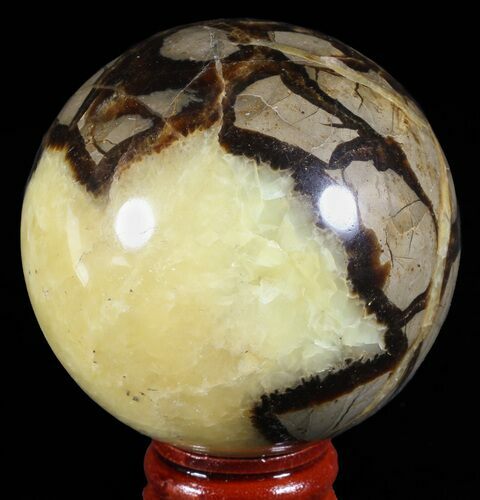 Polished Septarian Sphere - Madagascar #60527